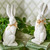 Hare Comes Easter Bunny Set of 2, White