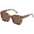 Aire Abstraction Sunglasses, Cookie Tort