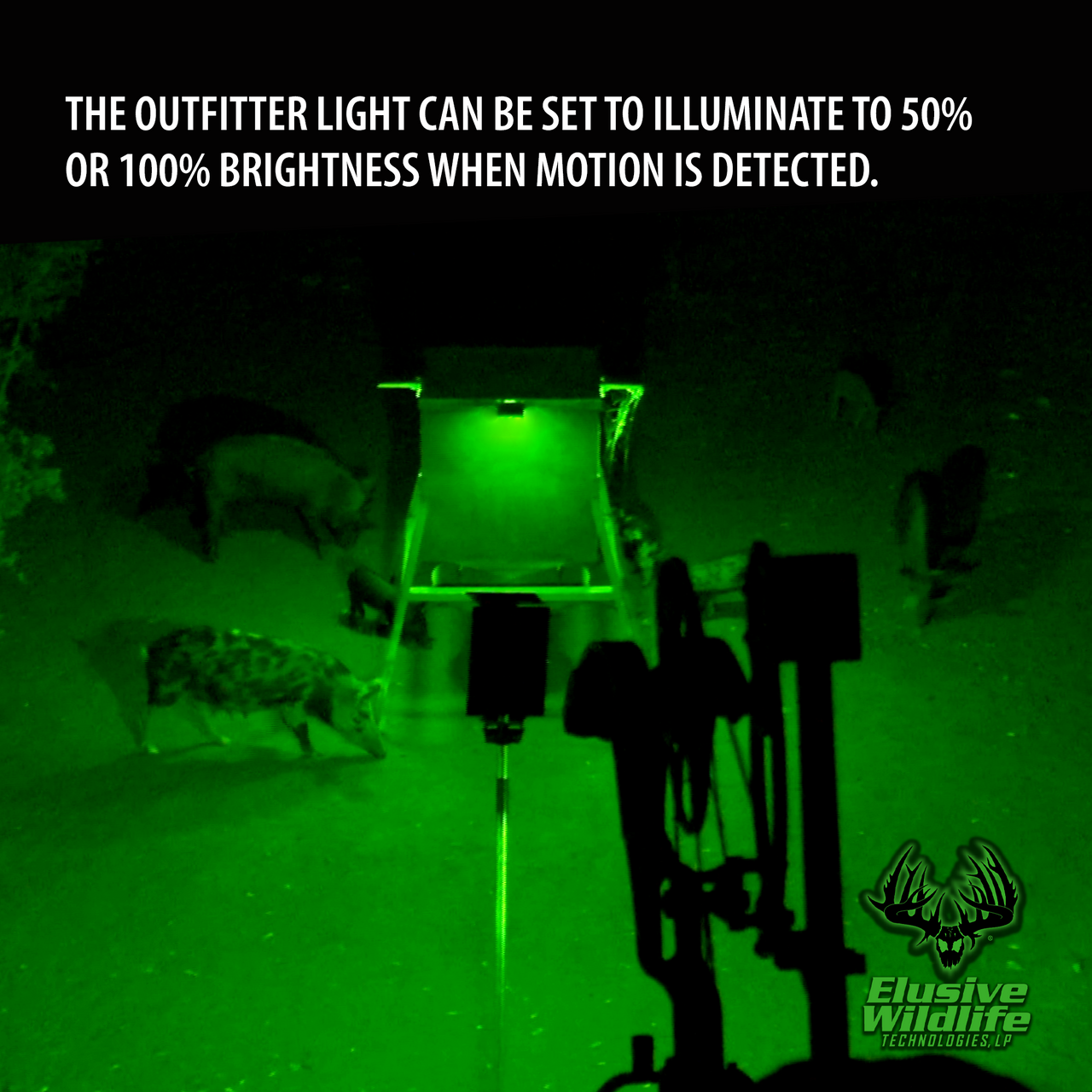 Kill Light OUTFITTER-R Remote Controlled, Solar Powered Motion Activated  Feeder Light
