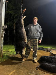 Killed this big boar in Georgia last night!