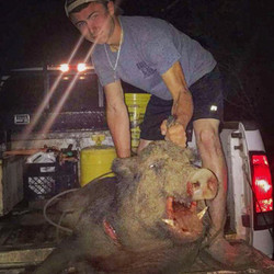 373lb monster