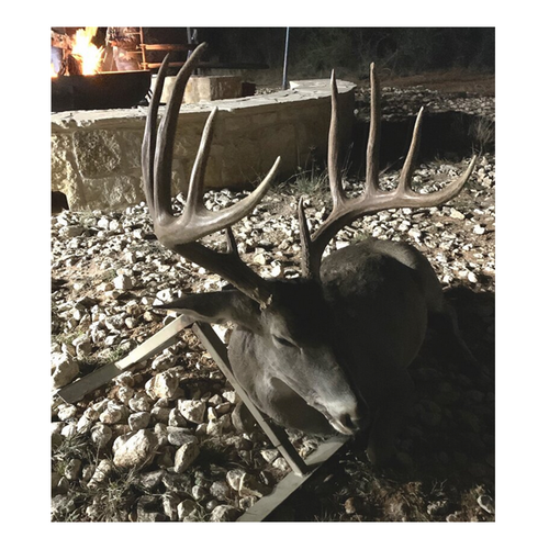 Trophyshot Display Stand for Deer