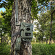 SPYPOINT LIVE Cellular Trail Cameras - Flex - Dual Sim Camera