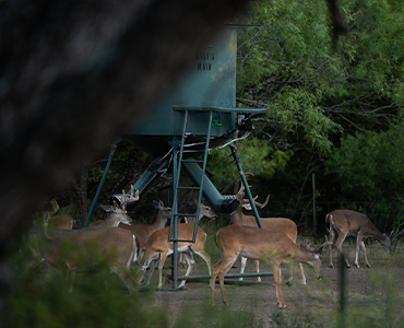 Hunting Products - Traps - Elusive Wildlife Technologies