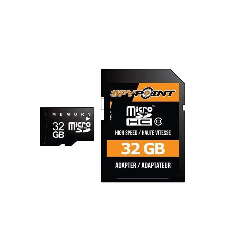 Memoria SD 32GB – Celular Express