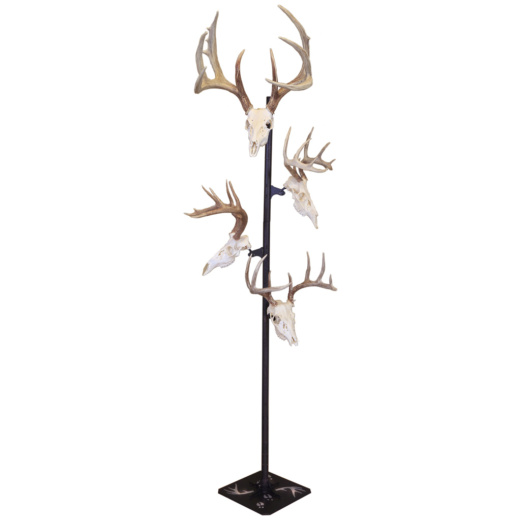 蝦夷鹿hunting trophy（deer skull） Amazon.com: Ebros Gift Rustic Hunter Deer 10 Point Buck