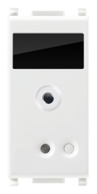 VIW14584.1