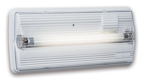 LENFX1101