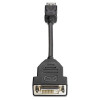 HP-DisplayPort-to-DVI-D-Adapter-(FH973AA)-FH973AA-Rosman-Australia-1