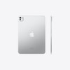 Apple 11inch iPad Pro WiFi 1TB with Standard glass - Silver (MVVF3X/A)