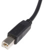 StarTech.com-6-ft-USB-2.0-Certified-A-to-B-Cable-M/M-USB2HAB6-Rosman-Australia-4