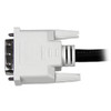 StarTech.com-1-ft-DVI-D-Dual-Link-Cable---M/M-DVIDDMM1-Rosman-Australia-4