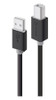 ALOGIC-2m-USB-2.0-Cable---Type-A-Male-to-Type-B-Male-(USB2-02-AB)-USB2-02-AB-Rosman-Australia-3