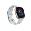 Fitbit-Sense-2,Blue-Mist/Pale-Gold,-FRCJK-(SENSE2-BLU(FB521GLBM-FRCJK))-FB521GLBM-FRCJK-Rosman-Australia-2