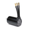 Spektrum Firma 3660-4000Kv 4-Pole Sensorless Brushless Motor: 5mm