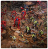 Warhammer 40,000: Armageddon 40-01
