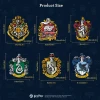 Puremind Harry Potter Magic Magnets Blind Box SINGLE