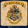 Puremind Harry Potter Magic Magnets Blind Box SINGLE