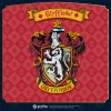  Puremind Harry Potter Magic Magnets BOX SET