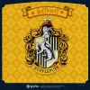 Puremind Harry Potter Magic Magnets BOX SET