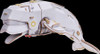  MakeBug D0048 MECH Series Beluga Whale 3D Kraft Paper Puzzle
