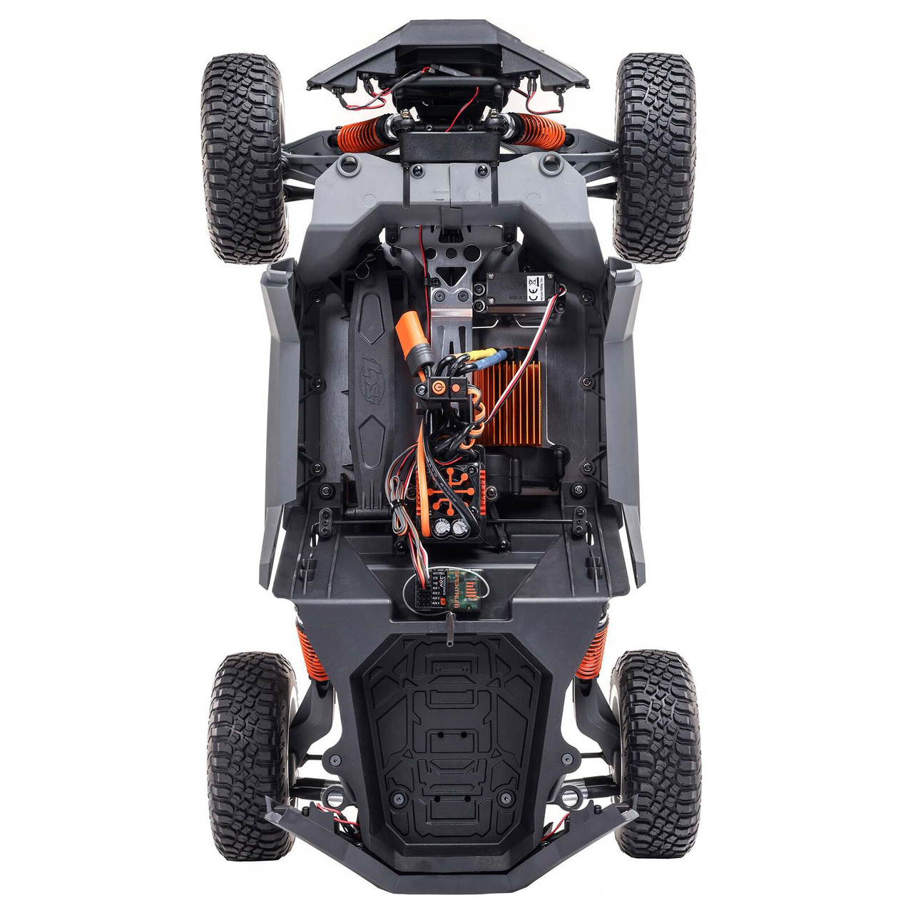 Losi 1/10 RZR Rey 4WD Brushless RTR, Fox - Small Addictions RC