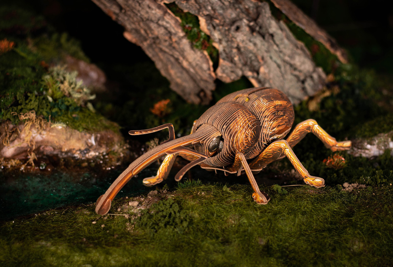 MakeBug B0004 Bring Nature Home Weevil 3D Kraft Paper Puzzle