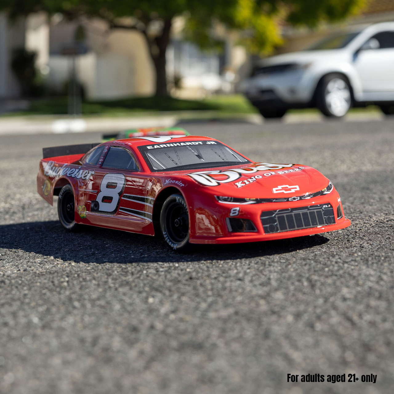 Losi 1/12 Asphalt Late Model Dale Earnhardt Jr. No. 8 Bud - Small