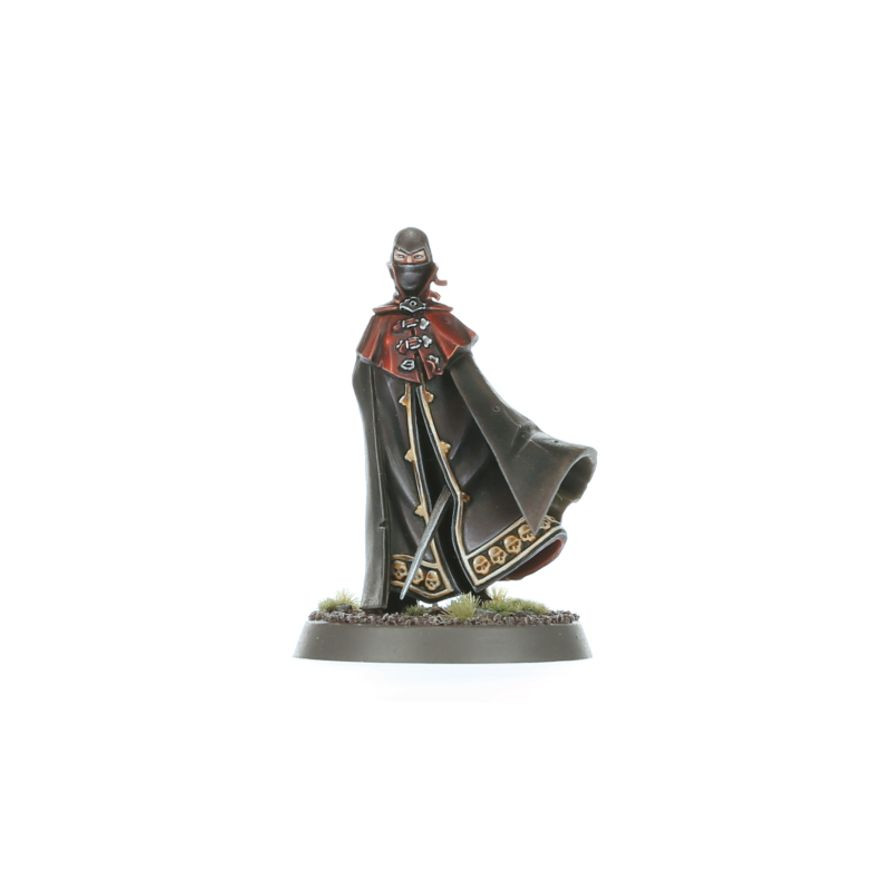  Warhammer Age of Sigmar Cities of Sigmar Spearhead Zenestra's Zealots 70-863