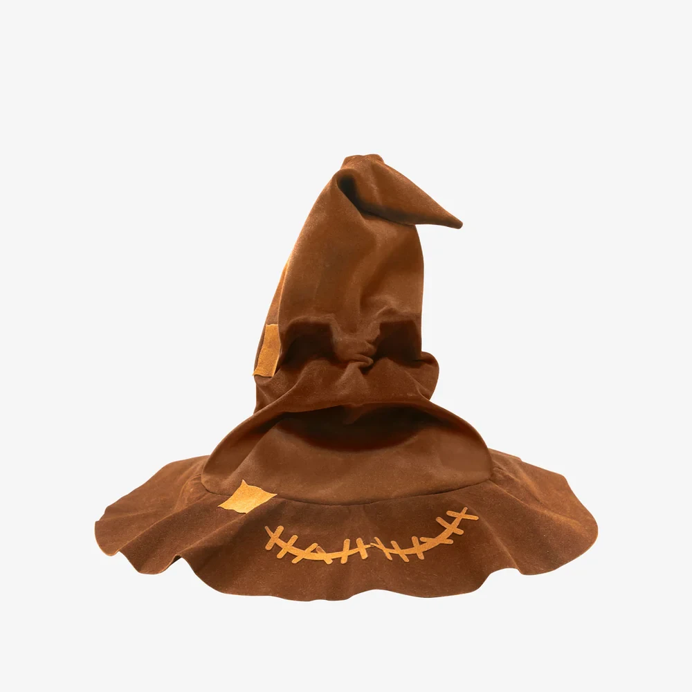  Puremind Harry Potter Talking Sorting Hat