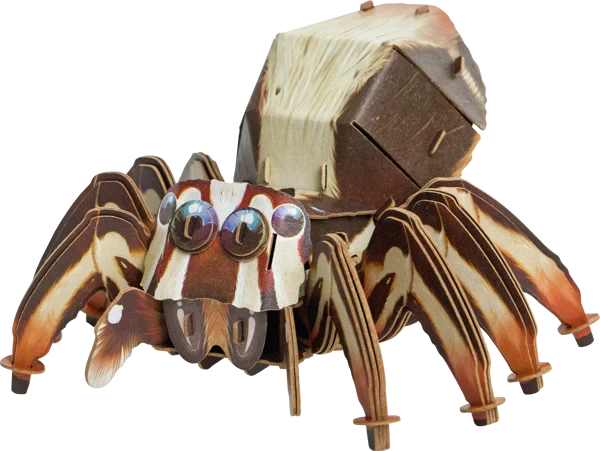  MakeBug D0054 Deep Jungle Jumping Spider 3D Kraft Paper Puzzle