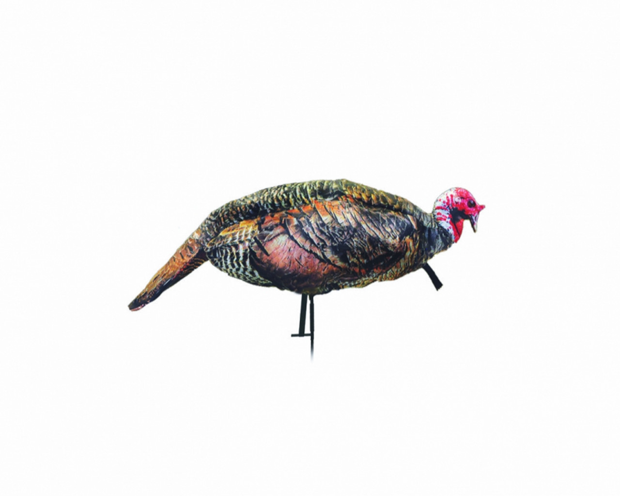 ターキー Montana Decoy Company Jake Purrfect XD Turkey Decoy - Route 66