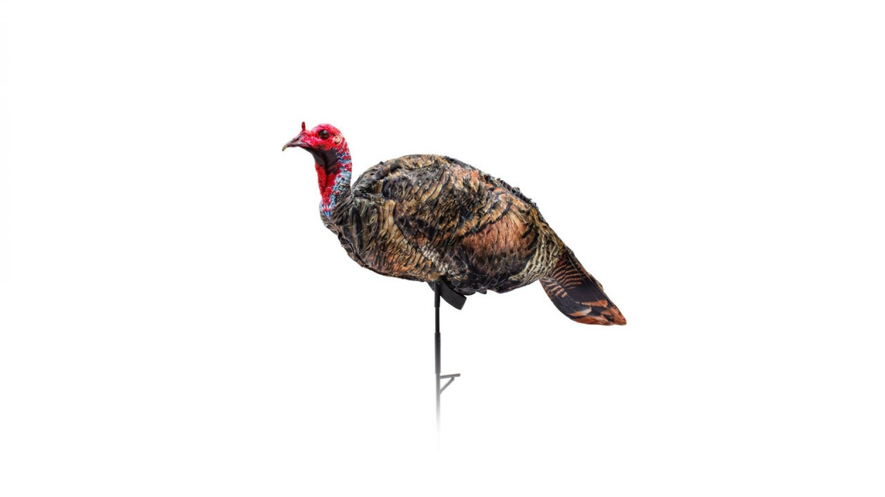 Takieターキー Mossy Oak Rowdy Jake Strut Turkey Decoy - Walmart.com