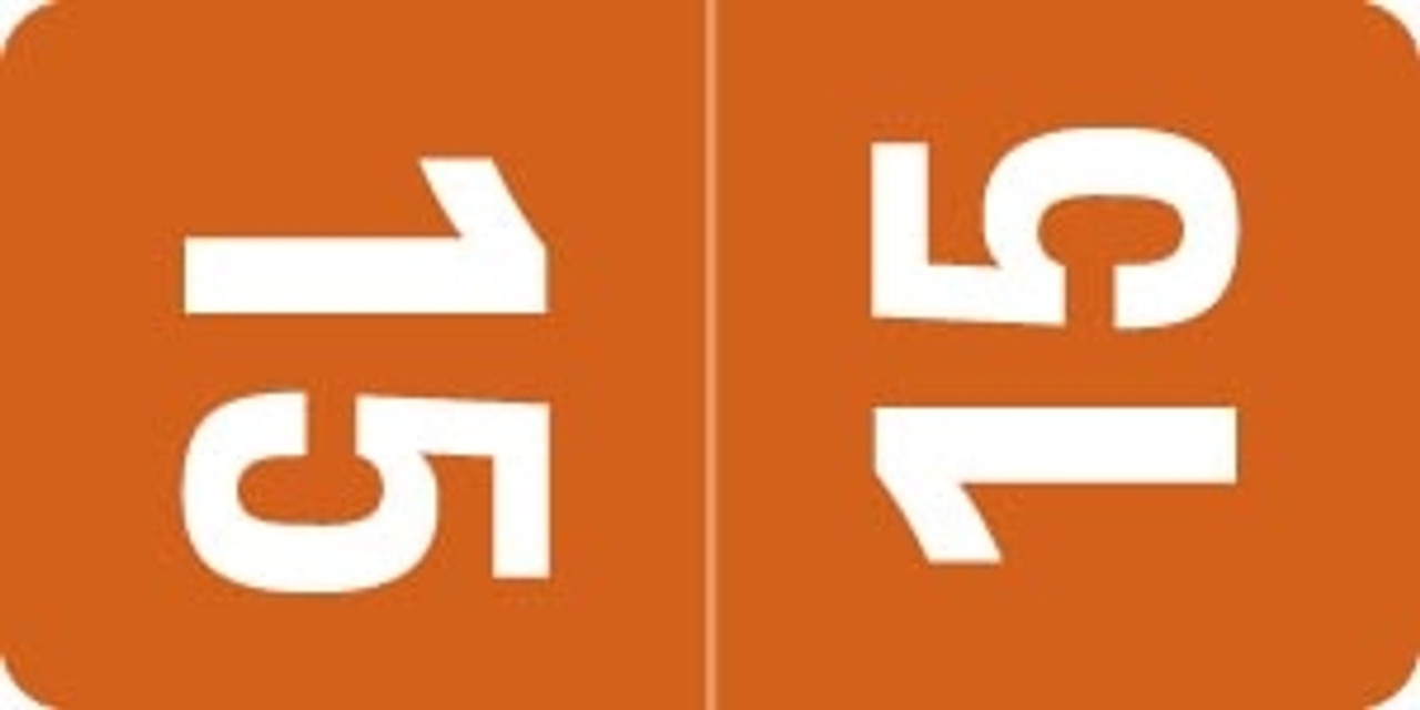 Smead Yearband Label (Rolls of 500) - 2015 - Orange - TTYM Series -  Laminated