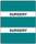 300 Series Create Your Own Patient Chart Divider Tab -  "Surgery" - Turquoise - 1-1/2'' x 1-1/2'' - 102/Pack