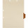 Medical Arts Press Match Colored Side Tab Chart Dividers- Pathology, Tab Position 4- Brown (100/Pkg) (56778)