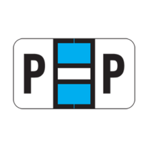 POS Alphabetic Labels - 2000 Series (Sheets for binder) - Letter - P- Lt. Blue - 240 Labels Per Pack POS Alphabetic Labels - 2000 Series (Sheets for binder) - Letter - P- Lt. Blue - 240 Labels Per Pack
