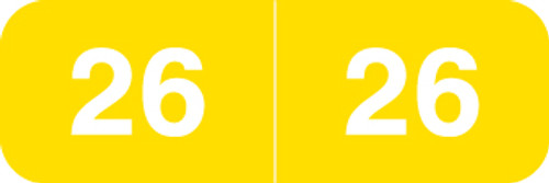 2026 Ames Colorfile Yellow Year Labels - 1/2" H x 1-1/2" W, 500 Labels