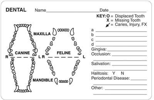 Veterinary Dental Examination Records Label  - Dental Grid Canine/Feline 4"W x 2-5/8" H - White Label - 240/Roll