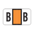 POS Alphabetic Labels - 2000 Series (Sheets for binder) - Letter -  B- Orange - 240 Labels Per Pack