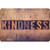 The Original Fun Mat, Welcome Mat, 1. 5'' x 2. 5'', Kindness Letterpress