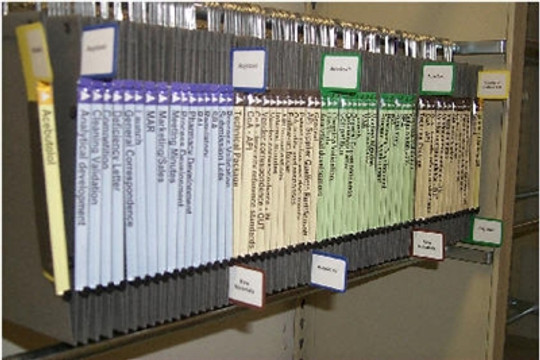 Oblique Label Inserts for Hanging Compartments; 6" H White Labels -224/pkg