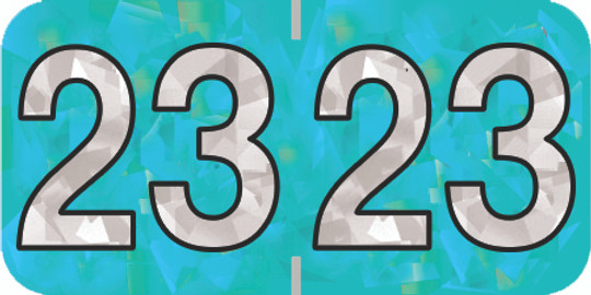 Holographic Yearband Label (Rolls) 500 - 2023 - Aqua - HAYM Series - Polylaminated