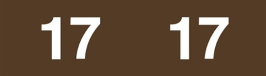 Ames Colorfile Yearband Label (Rolls of 1000) - 2017 - Brown - ASYP Series - Unlaminated