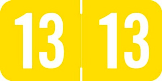 Acme Yearband Label (Rolls of 500) - 2013 - Yellow - ACYM Series - Laminated