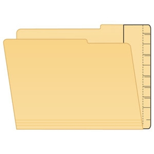 Extend-A Folder-Strip; Converter for Top Tab to End Tab - 100/Box