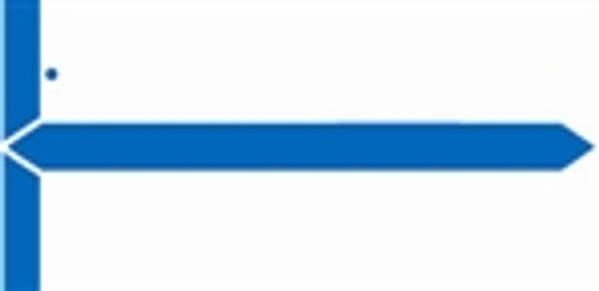 AmeriFile - GBS/V.R.E. Compatible Name Labels - Color Blue - Pack of 1000 Labels