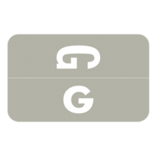 AmeriFile Alpha-Z Compatible Color-Coded Alpha Labels - Letter G - Gray - 1 W x 1 5/8 H - Sheets for file box. 100/Pack