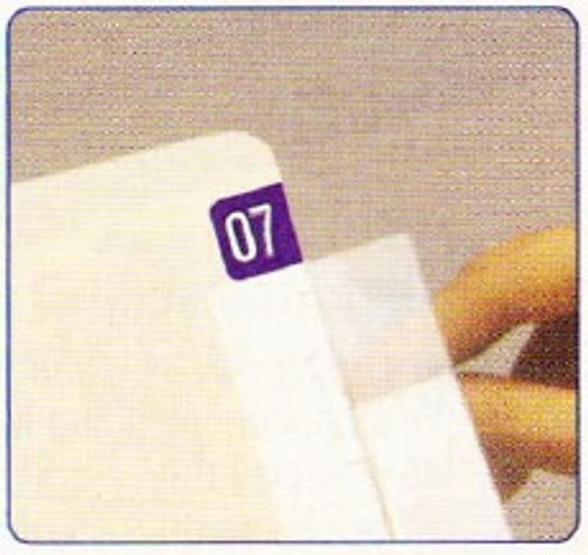 AmeriFile Mini Label Protectors - 2 1/2 W x 1 3/4 H - 500/Pack