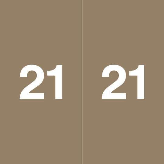 Ames Colorfile Yearband Label (Rolls of 500) - 2021 - Gray - AEYM Series - Laminated - 1-7/8" H x 1-7/8" W